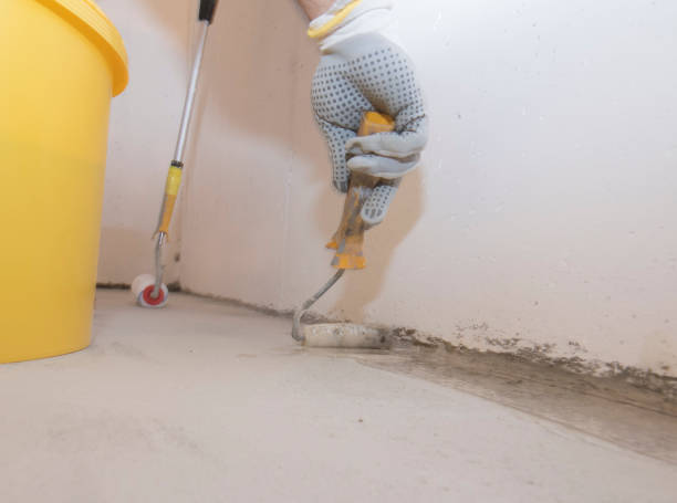 Real Estate Pest Inspections in Negaunee, MI